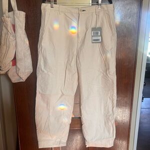 NWT Everlane Curved Canvas Pant Size 14